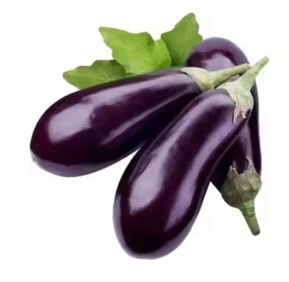 Eggplant