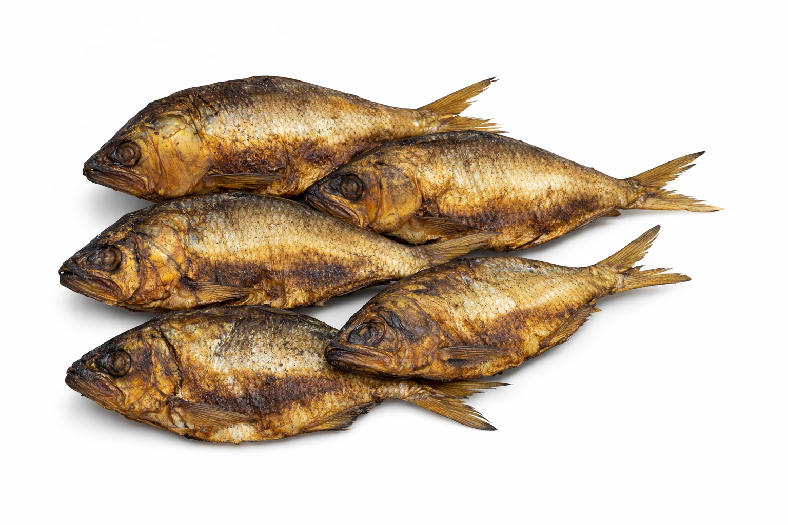 Cobo fish