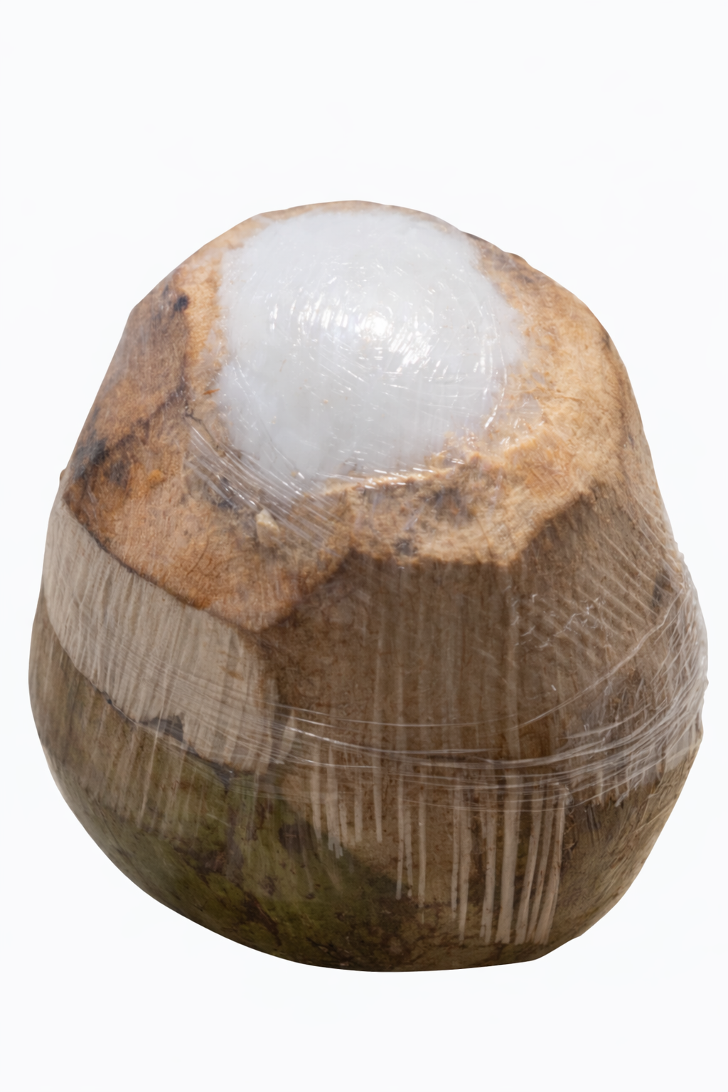 Coconut