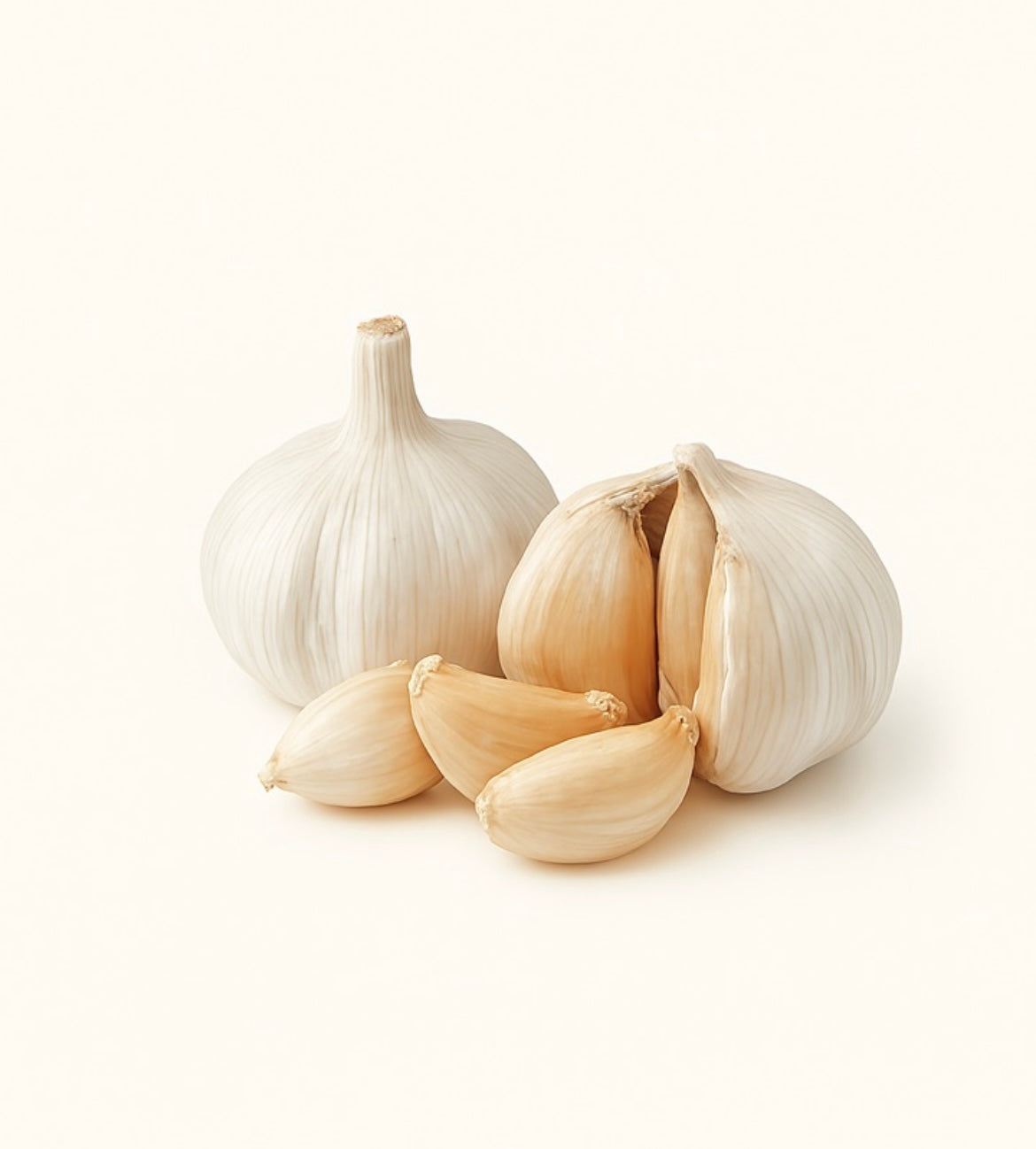 Garlic