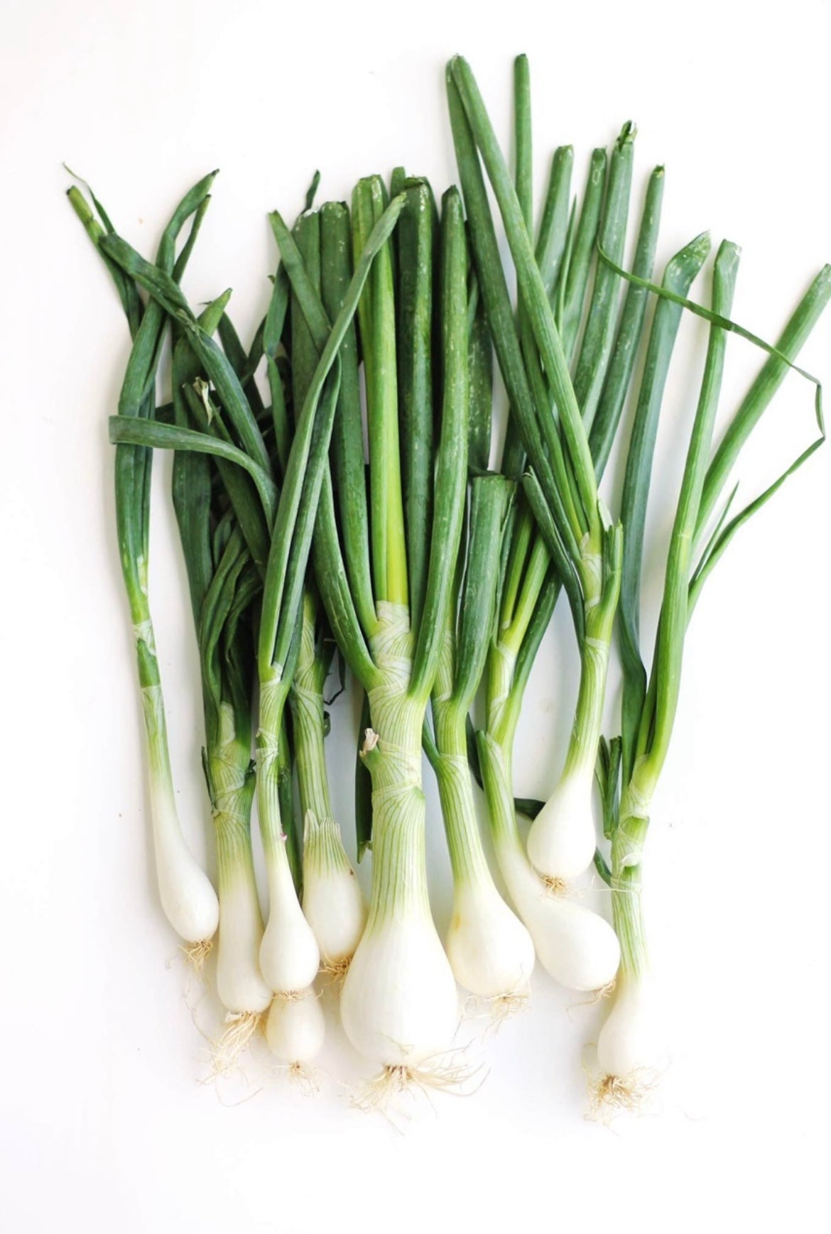 Spring onions