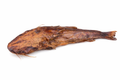 Smoke cat fish