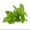 Mint / nana