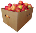 Red apple