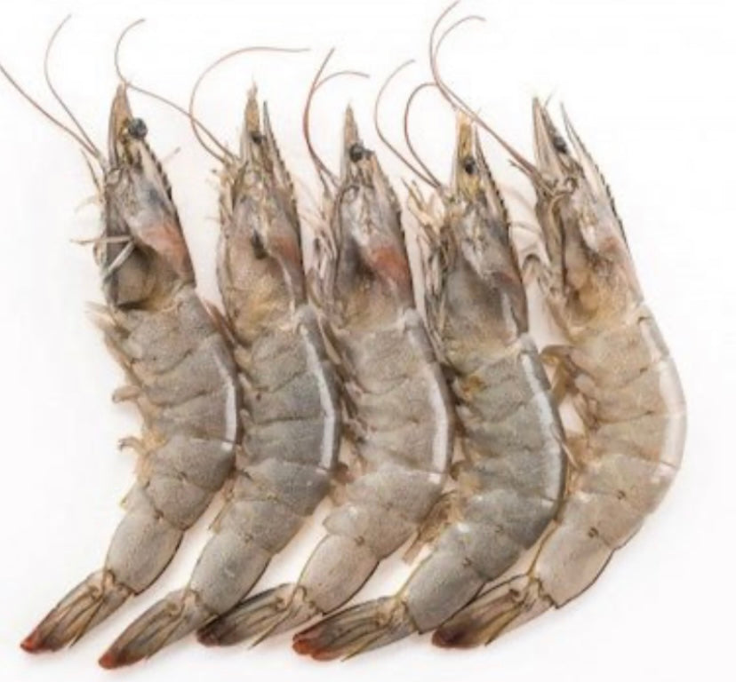 Shrimps