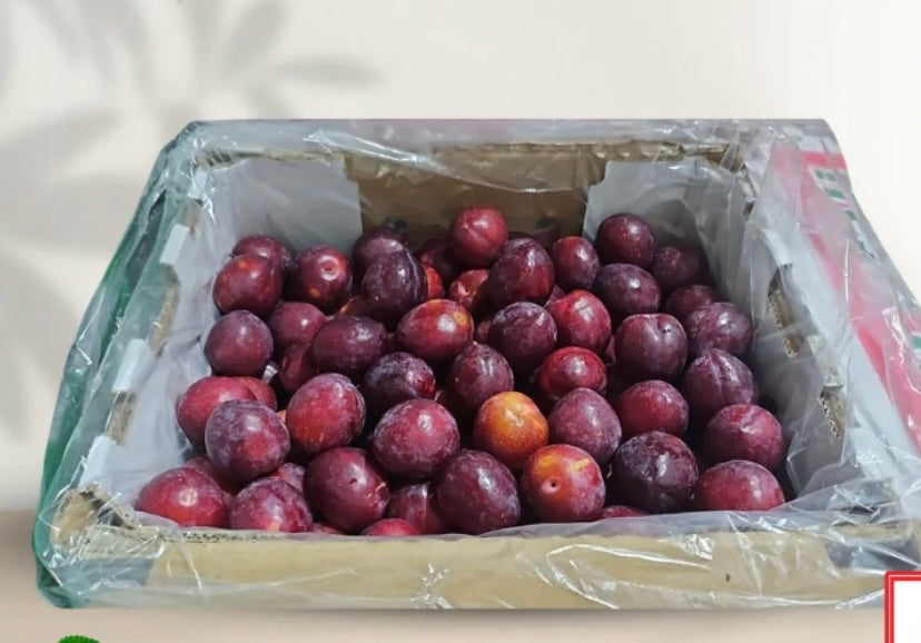 Plum