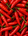 Chokoli big peper