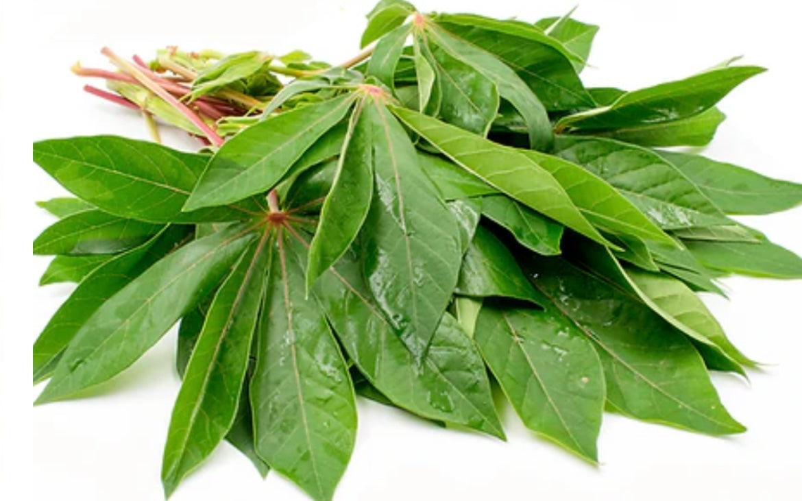 3 Cassava leaf