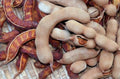 Tamarind