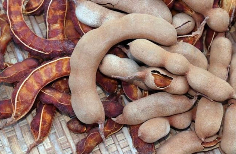 Tamarind