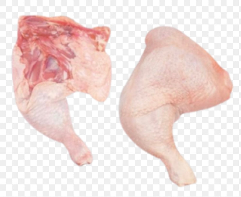 Chicken leg