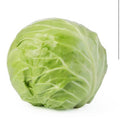 Cabbage