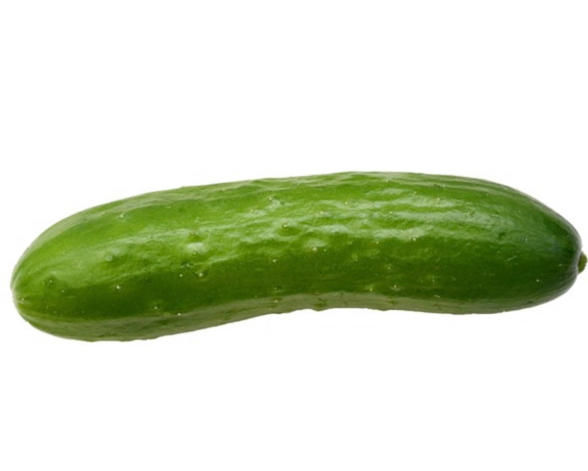 Cucumber