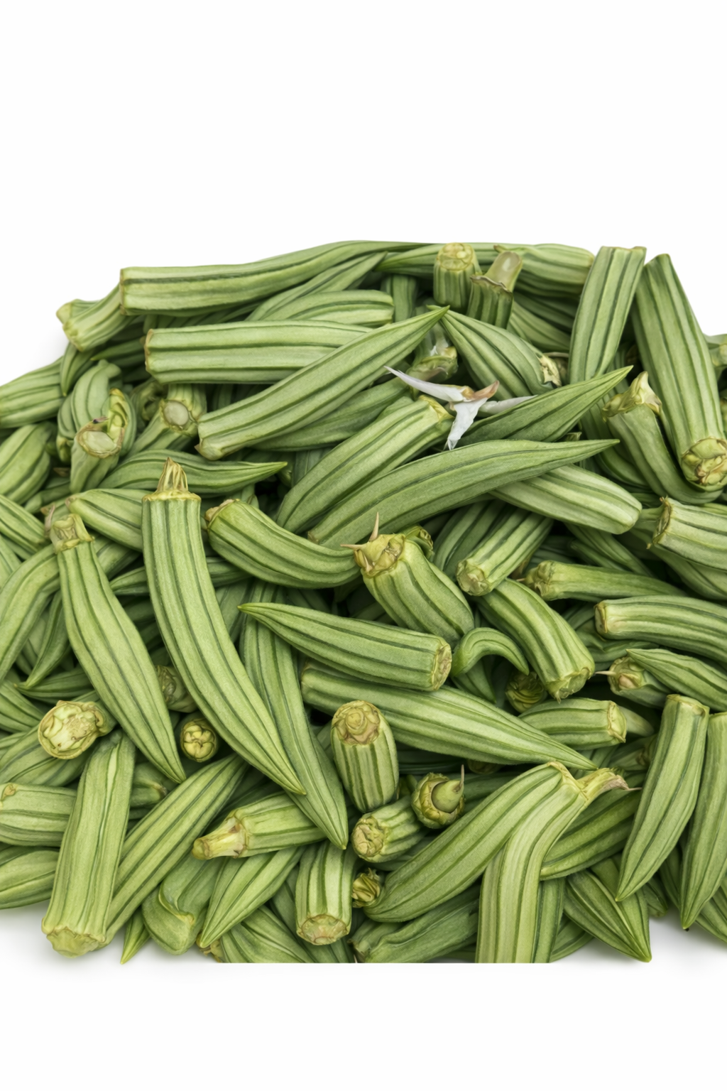 Okra