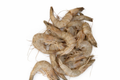 Shrimps