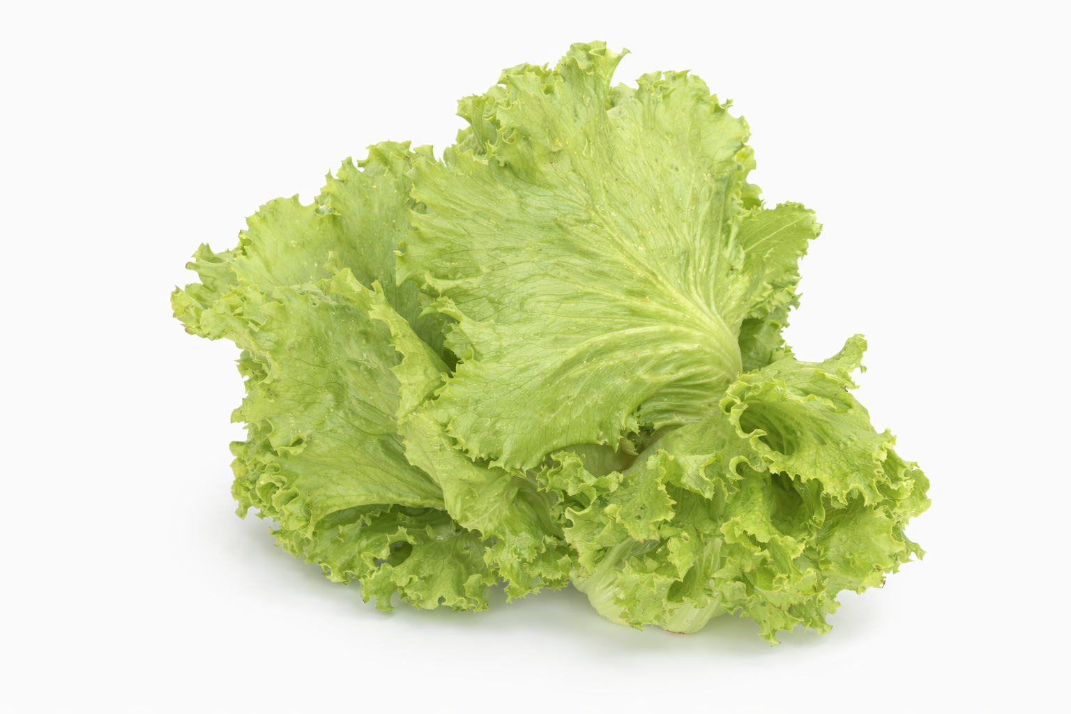 Lettuce