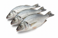 Large Fresh lady Fish (2 Pieces)