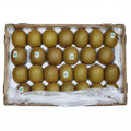 Zespri Green Kiwifruit – Full Carton