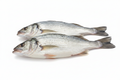 Fresh Medium ladys Fish ( 1 Piece )
