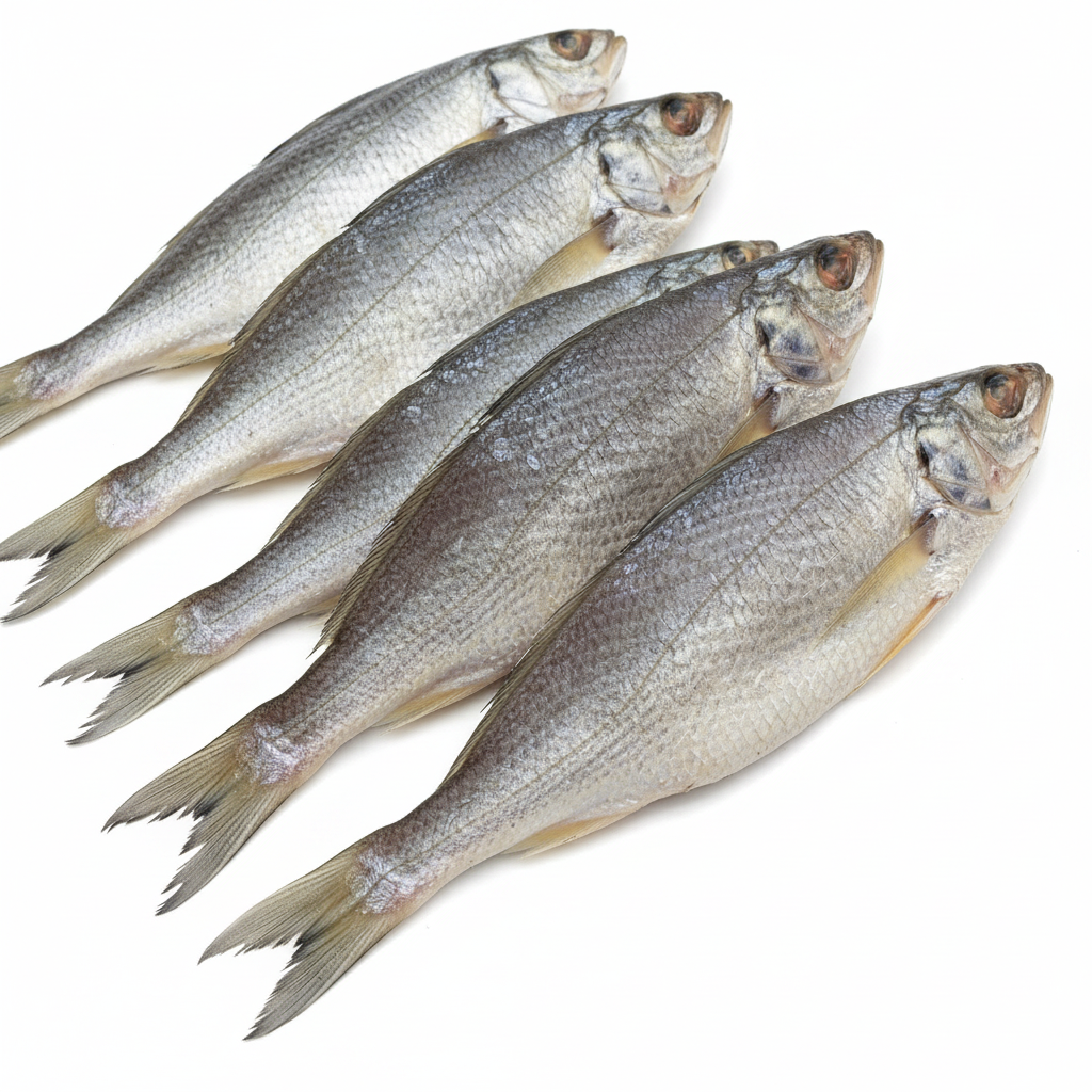 5 small Lady Fish