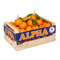 Alpha Mandarins – Full Crate (Ecuador)