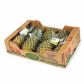 12 pieces Organic Pineapples – Full Box