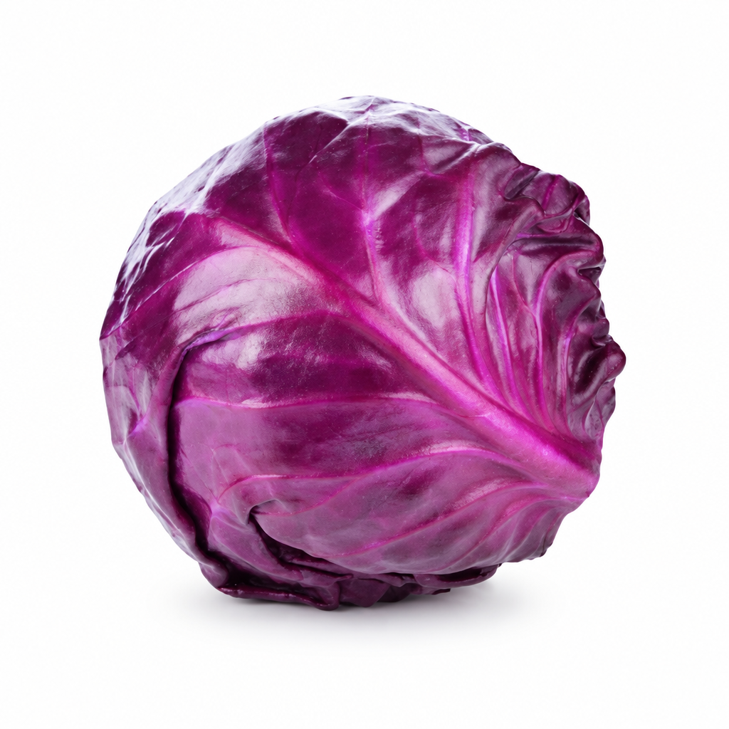 Whole red cabbage on a white background